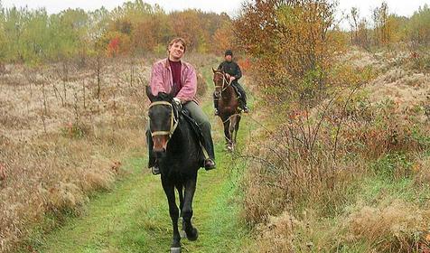 Прогулки на лошадях в Абинске.