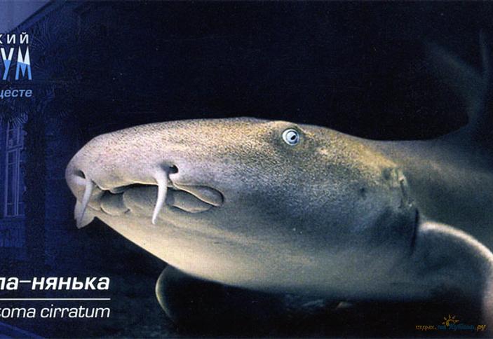 Аквариум&Морской Зоопарк 