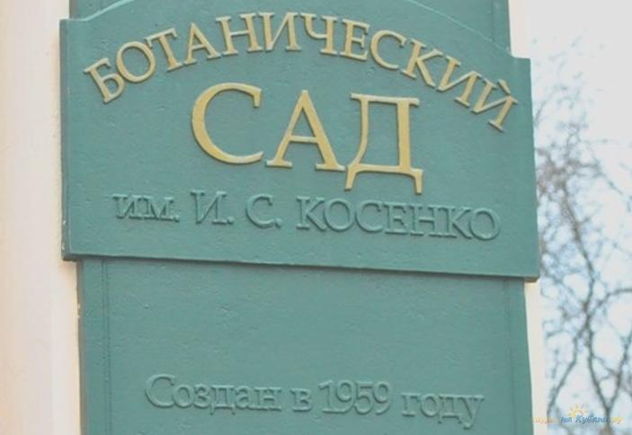 Дендрарий