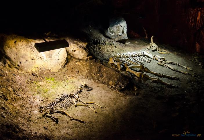 Подземный палеонтологический музей, пещера Эмине-Баир-Хосар, Симферопольский район, Крым 