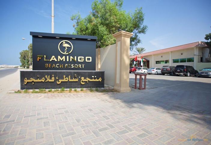 ОАЭ, Кувейн, Flamingo Beach Resort