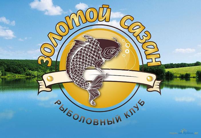 Сайт рыбалка золотой. Логотип рыбалка. Логотип рыболовного магазина. Логотип рыболовной базы. Рыболовный клуб золотой сазан.