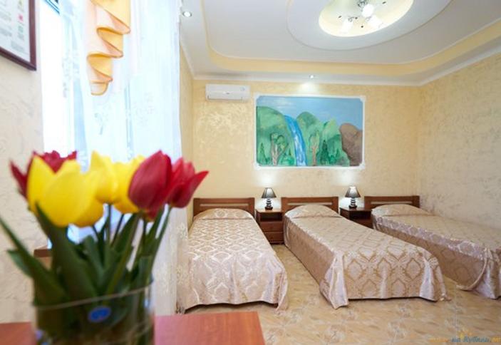 Стандарт плюс