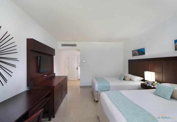 Deluxe Ocean View