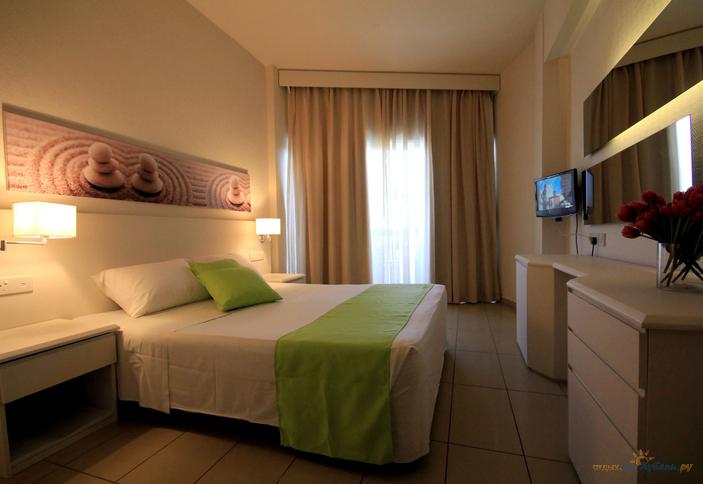 Standard Room Mountain View