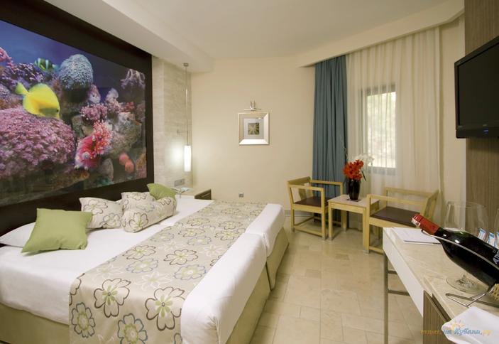 Club Standard Room