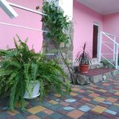 фото Мини-гостиница Фламинго, Прибрежное (Судак)