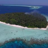 фото Отель Biyadhoo Island Resort, Остров Бияаду 