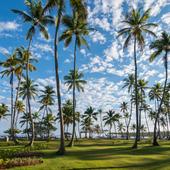 фото Отель Grand Paradise Samana, Лас-Галерас (Провинция Самана)