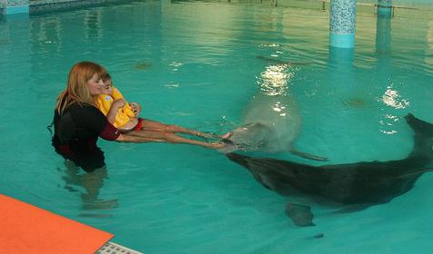 Дельфинотерапия (плавание с дельфинами) на территории развлекательного центра Морская звезда, г. Сочи, п. Лазаревское