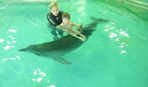 Дельфинотерапия (плавание с дельфинами) на территории развлекательного центра Морская звезда, г. Сочи, п. Лазаревское