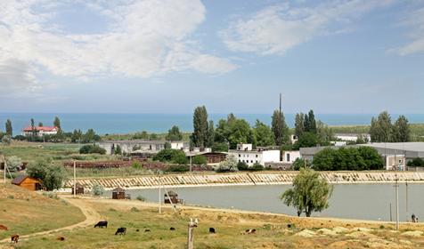 Пансионат Виренея, Республика Крым, Бахчисарайский район, п. Угловое