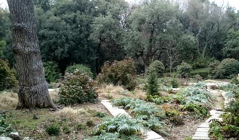 Никитский ботанический сад. Республика Крым