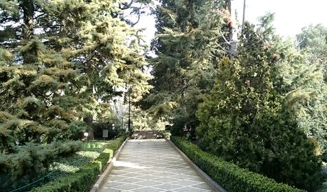 Никитский ботанический сад. Республика Крым