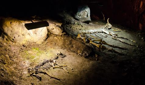 Подземный палеонтологический музей, пещера Эмине-Баир-Хосар, Симферопольский район, Крым