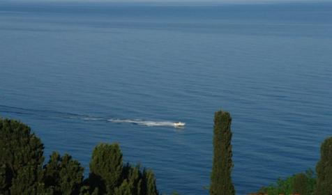 Злата