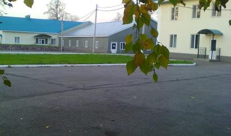 Черемушки