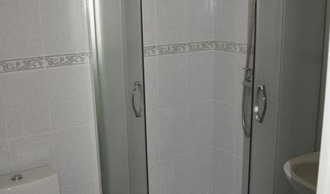 Подсолнух