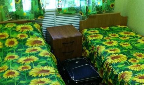 Подсолнух