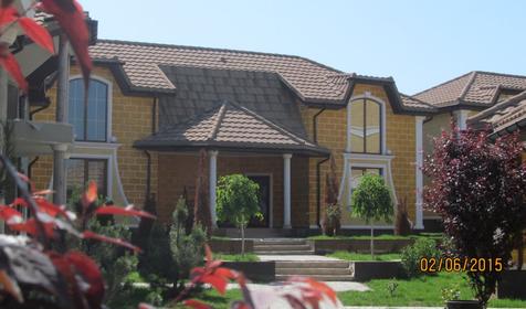 Leo Palace