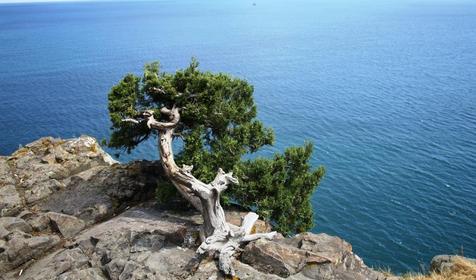 Отель Фортуна, Крым, Утес