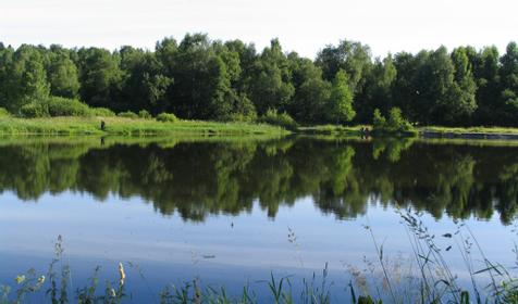 Зеленый Городок