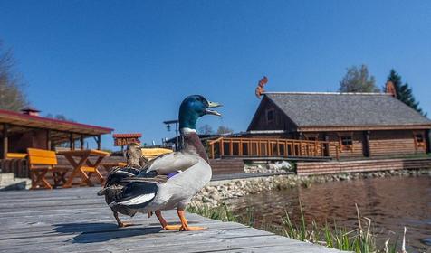 Тихая Заводь