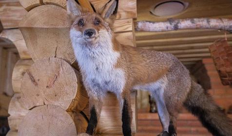 Тихая Заводь