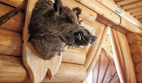 Тихая Заводь