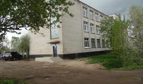 Береста
