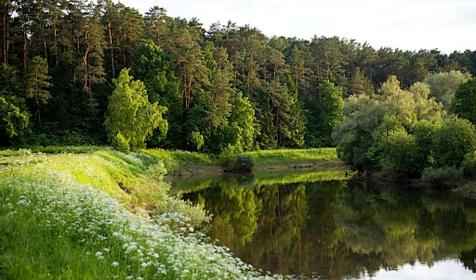 Дачный отель Pine River