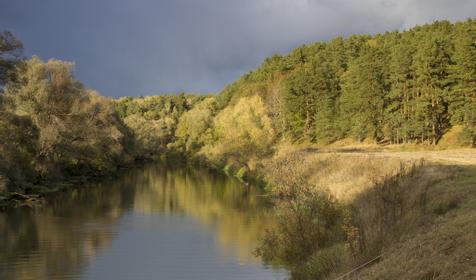 Дачный отель Pine River