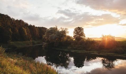 Дачный отель Pine River