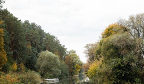 Дачный отель Pine River
