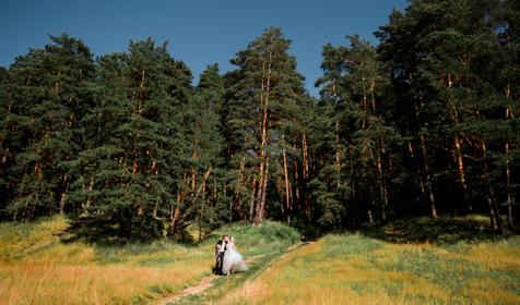 Дачный отель Pine River