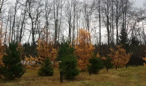 Загородный дом - Северный Крым (Country house -Severny Krym)