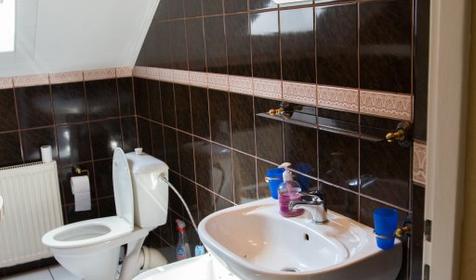 Hostel Papa House