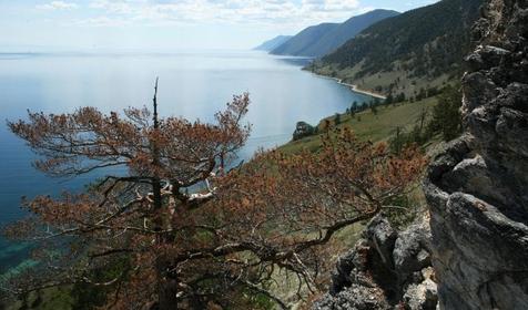 Лукоморье