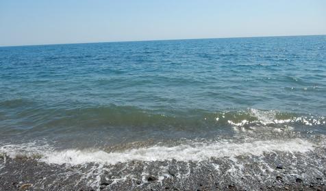 Афалина