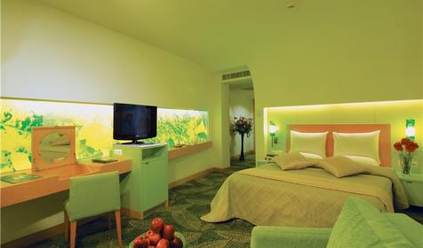 Standard Room Partiel View, отель Cornelia De Luxe Resort, Белек, Турция
