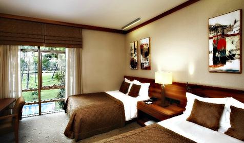 Deluxe Villa