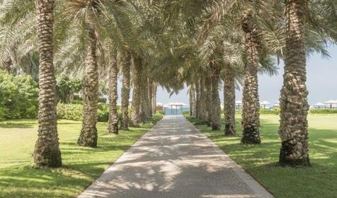 Отель Coral Beach Resort Sharjah