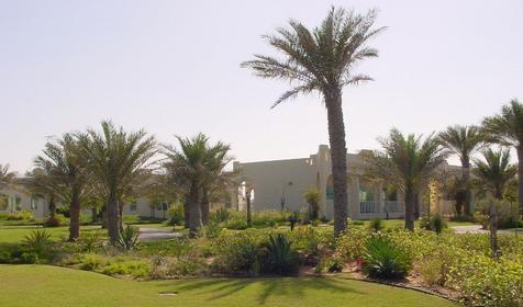 ОАЭ, Кувейн, Umm Al Quwain Beach
