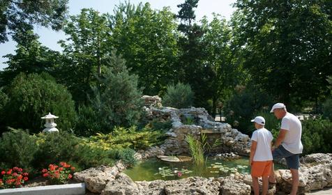 Ток Приморье, Крым, Феодосия, Коктебель
