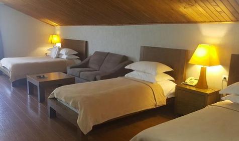 Стандарт четырехместный, отель Crystal (Кристал), Грузия, Бакуриани