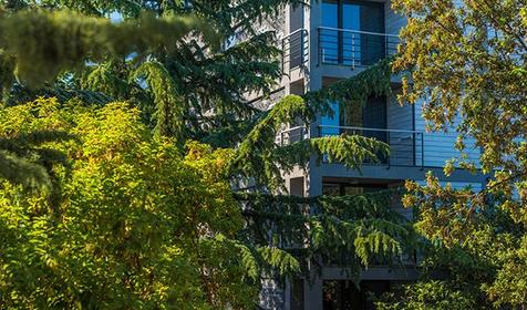 Отель Green park Yalta-Intourist (Грин Парк Ялта-Интурист). Крым, Ялта