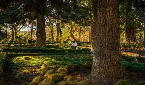 Отель Green park Yalta-Intourist (Грин Парк Ялта-Интурист). Крым, Ялта