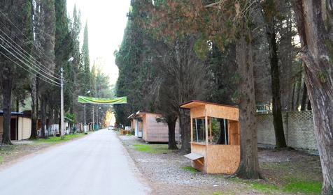 Гостевой дом Сосновый бор, Республика Абхазия, Пицунда