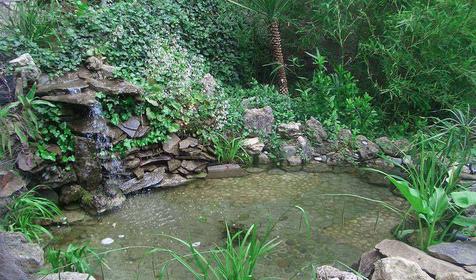 Пансионат Морской бриз, Крым, Гурзуф