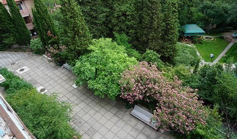 Ялтинский городской пансионат. Крым, Ялта
